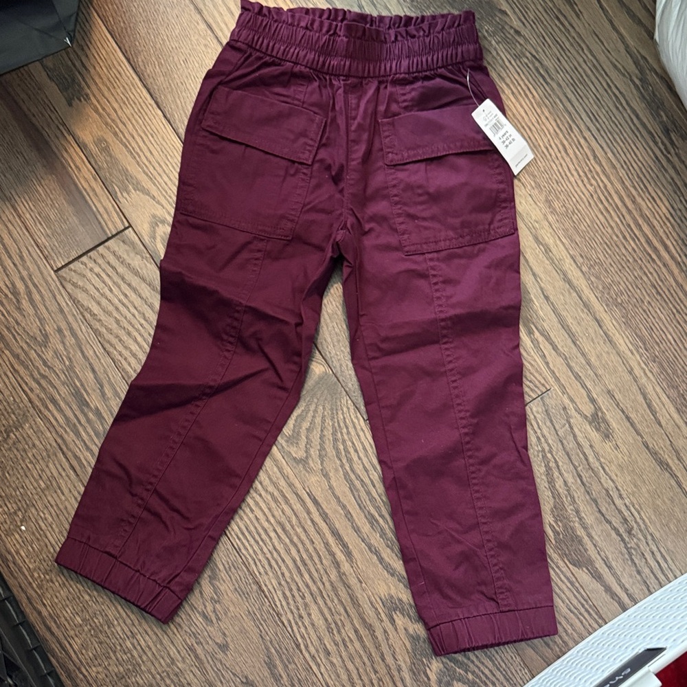 GAP Kids Maroon Jogger Pants